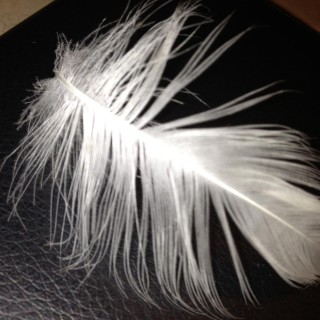 Unconditional Love and Acceptance of Others Yields Internal Peace