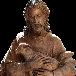 The Perfect Shepherd