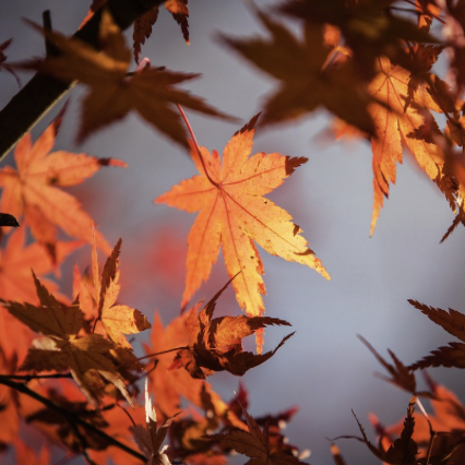 The magic of unwinding and letting go 