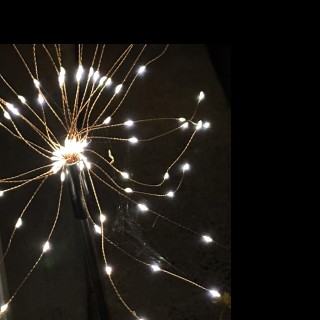 Whew! I Did It. I’m Healthy, Healthy, Healthy!