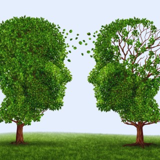 Will you get dementia?  New insights! 