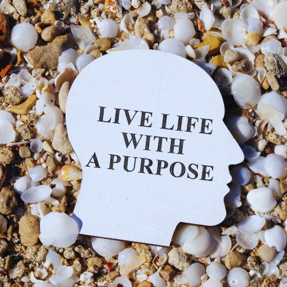 Encore: Your Elusive Purpose – what is my life purpose???