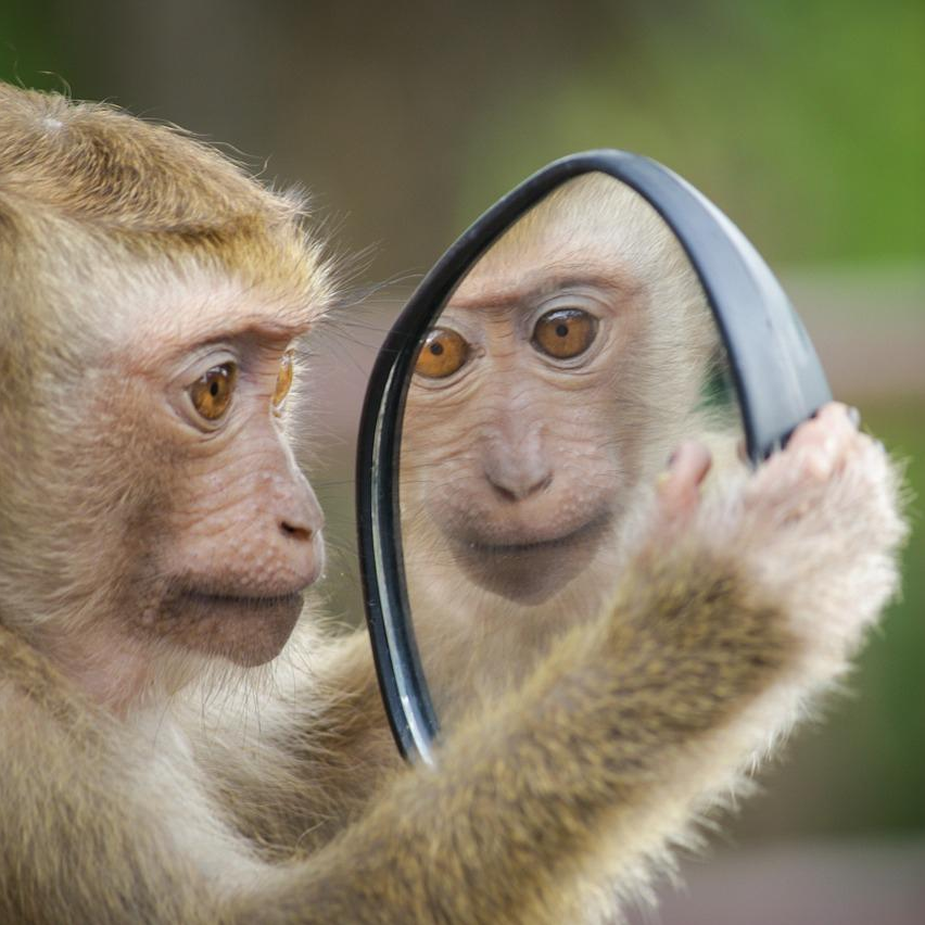 Right Mindfulness: Are You Sleepwalking Through Life?