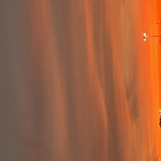 Know Your Strengths! Be Bionic!