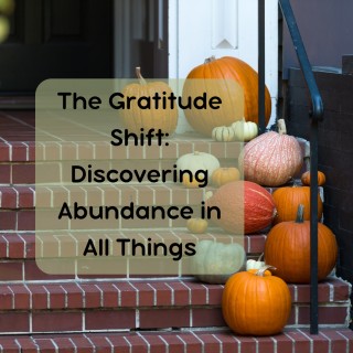 The Gratitude Shift: Discovering Abundance in All Things