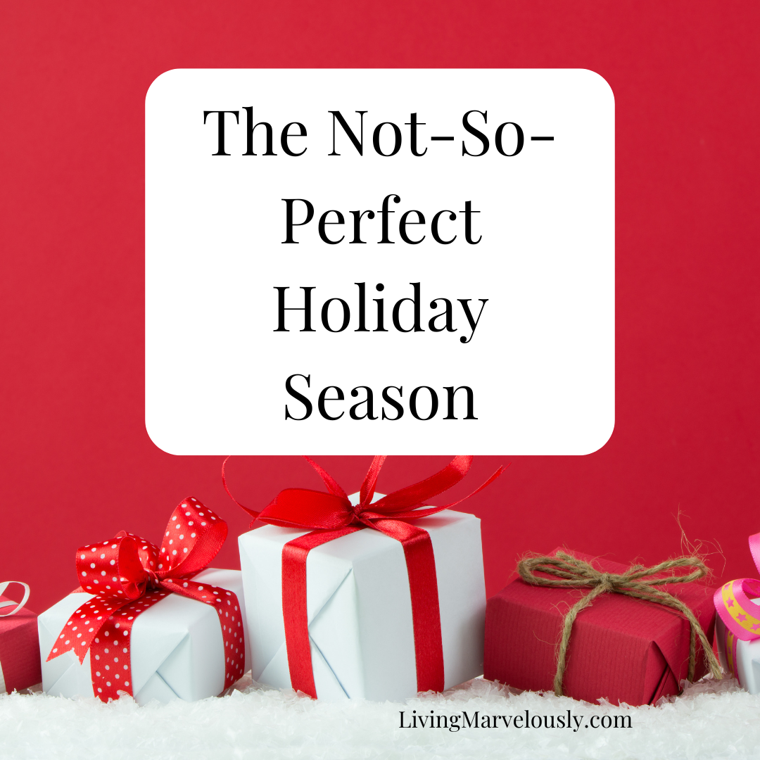 A Not-So-Perfect Holiday Season
