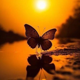 13. Unfiltered Voice: How to Be Truly Heard
