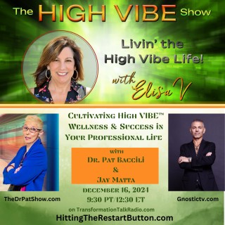 High VIBES at Work: Cultivating High VIBE​™ Wellness and Success in Your Professional Life with Jay Matta