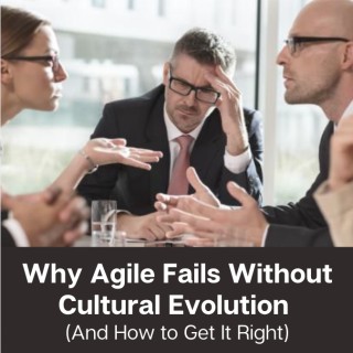 Why Agile Fails Without Cultural Evolution (And How to Get It Right), with guests Sannette Coetzee & Don White