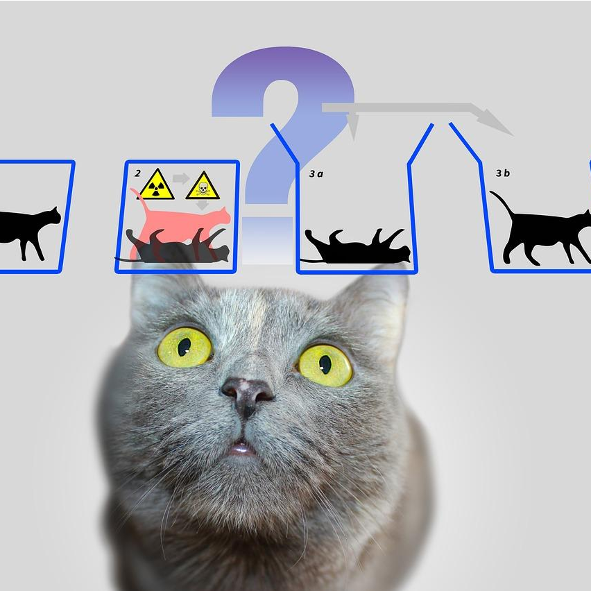 Schrödinger's Cat: A Quantum Puzzle