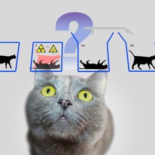 Schrödinger's Cat: A Quantum Puzzle
