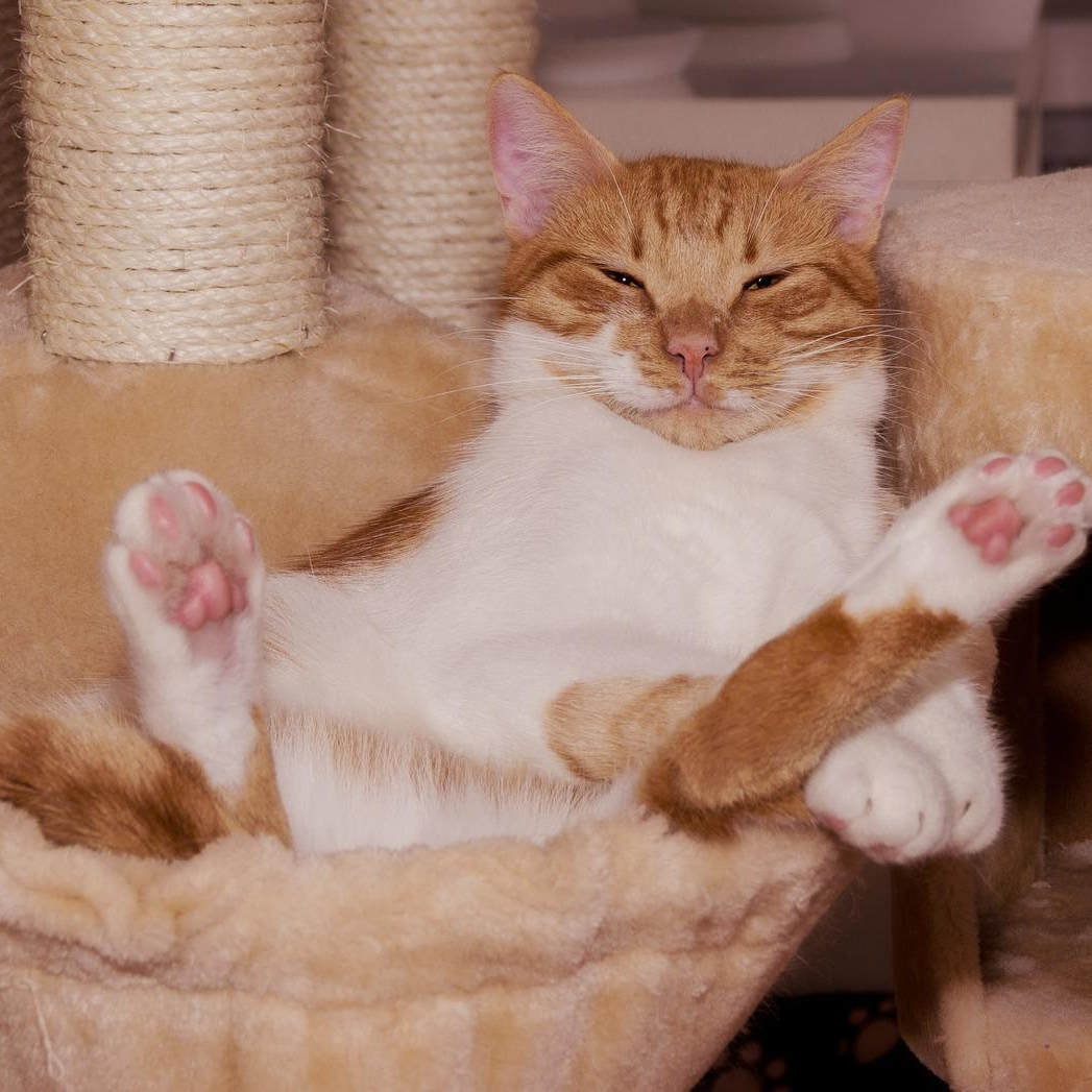 Encore: Getting Comfortable with Being Uncomfortable