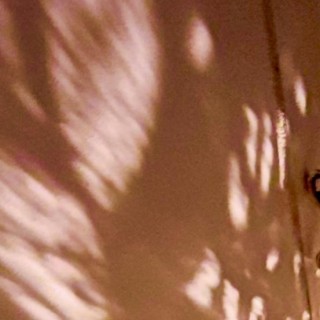 Detach