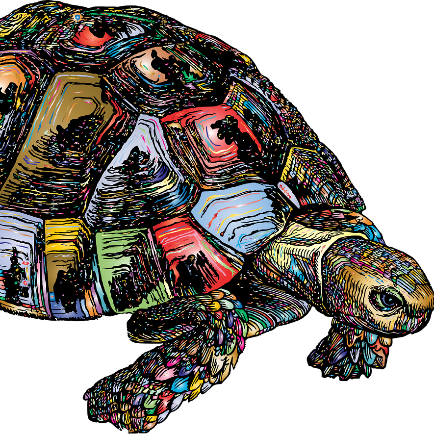 Can You Catch the Tortoise? Zeno's Challenge to Infinity