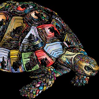 Can You Catch the Tortoise? Zeno's Challenge to Infinity