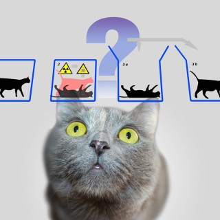 Schrödinger's Cat: A Quantum Puzzle