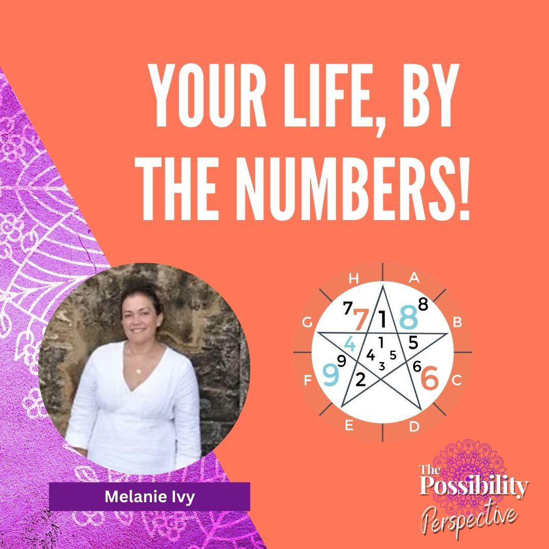 Your Life, By the Numbers!