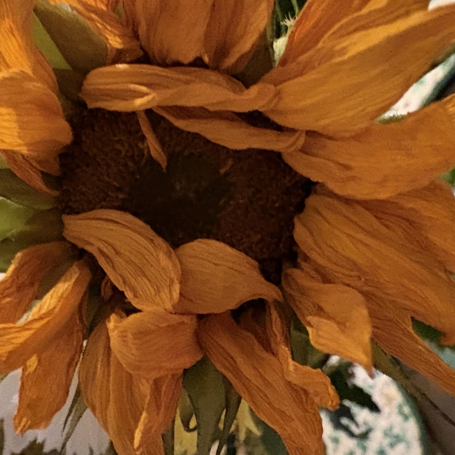 Dealing with Separation from Another