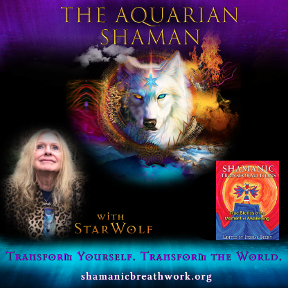 Shamanic Transformations: True Stories of the Moment of Awakening