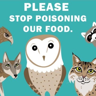 Predator over Poison! How to keep pests under control without killing everything around us