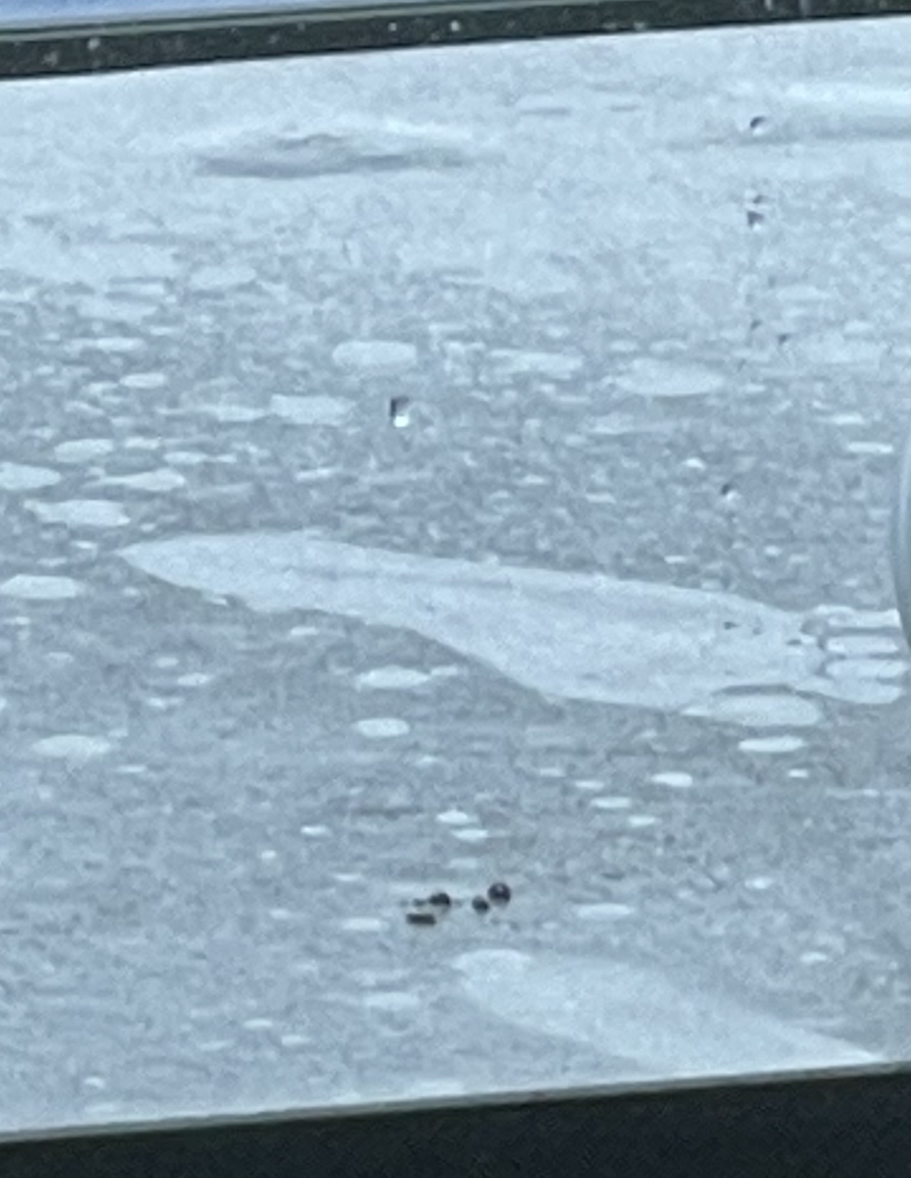 Frequential Connections