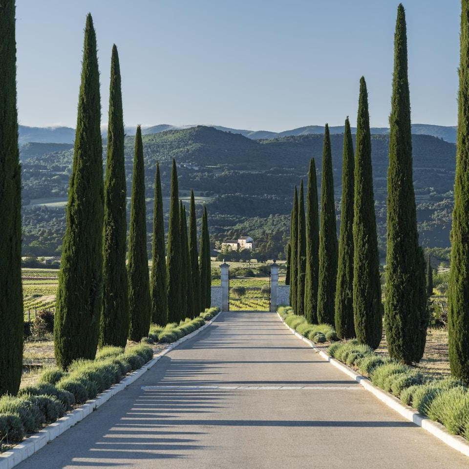 142. Identity Debt: The Cost of Being Who You’re Not Anymore
