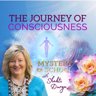 The Journey of Consciousness