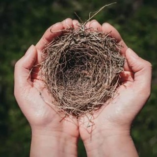 Empty Nesting and Perimenopause; My Life as a Middle Aged Woman