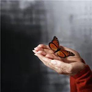 146.  Are you Healing or Hiding? 