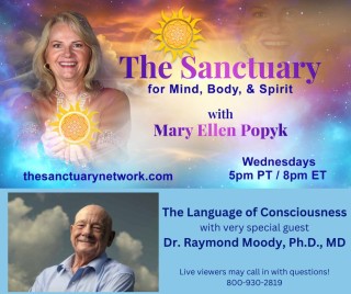 Sanctuary Network guest collages  5