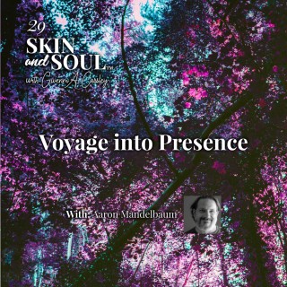 Cover PodCast 29 SKINSOUL