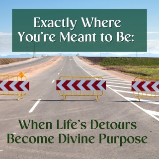 lifes detours