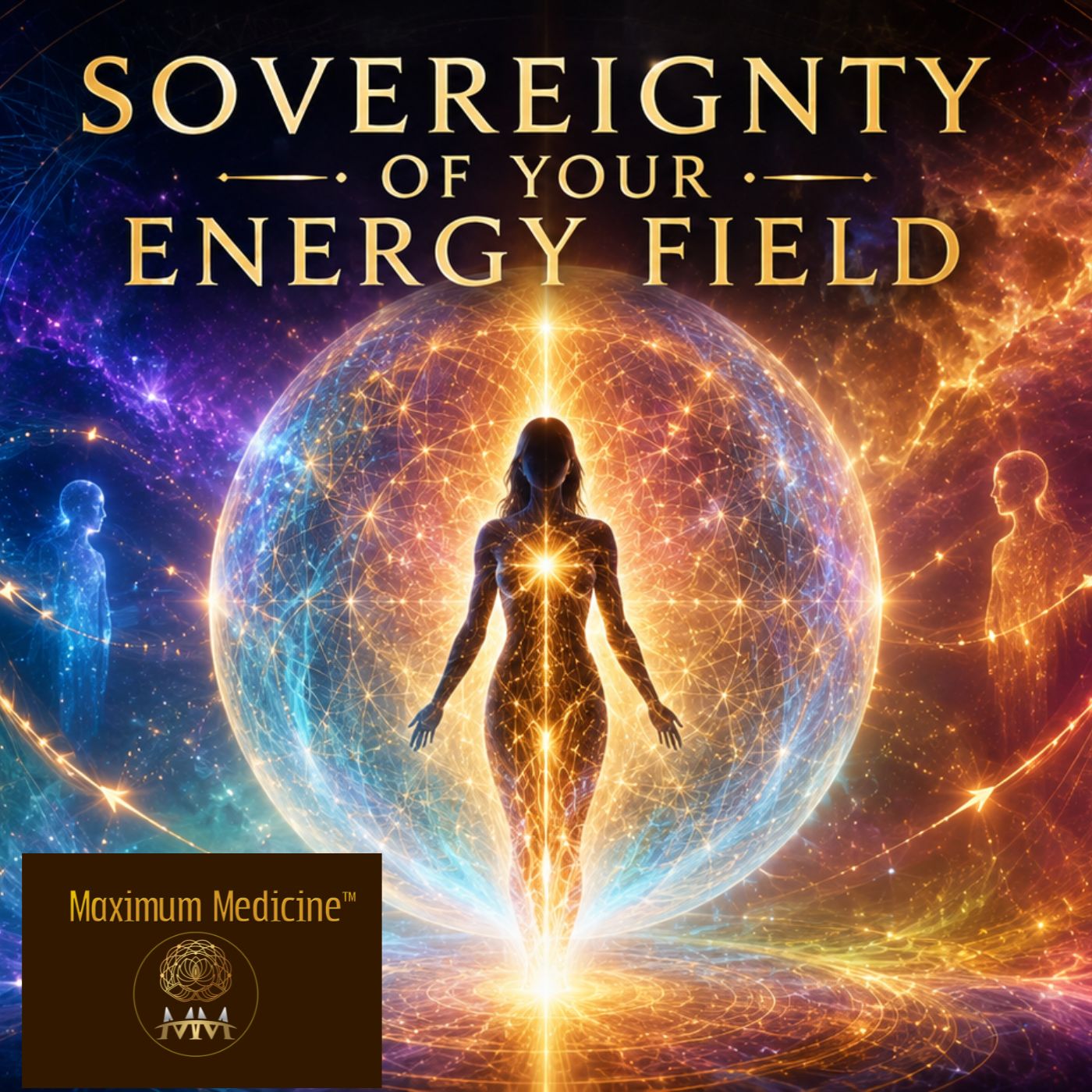 dr sharon martin sovereignty of your energy field