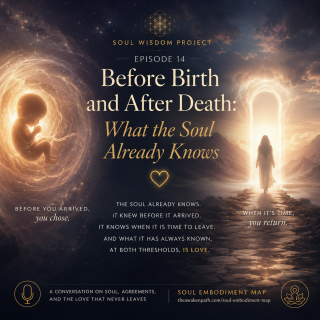 SWP Ep 14 Before Death and After Rebirth