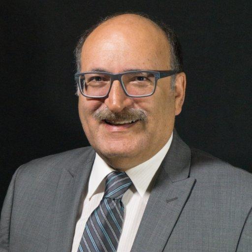 Dr. Stephen Stein Ph.D.