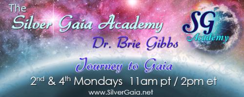 The Silver Gaia Academy -  with Dr. Brie Gibbs