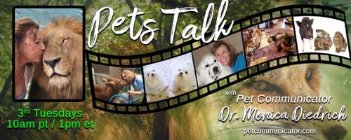 The Pet Communicator Show with Dr. Monica Diedrich